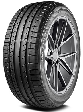 255/45R20 105W Antares Ingens-Locus