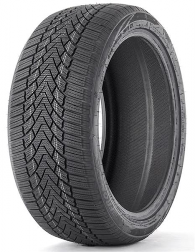 205/55R16 91H Fronway ICEMASTER I